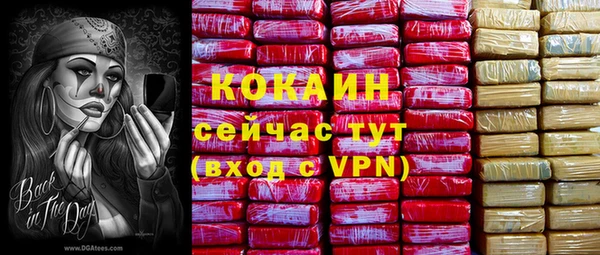 дмт Алексин
