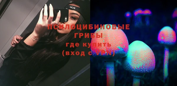 PSILOCYBIN Абаза