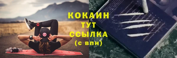 PSILOCYBIN Абаза