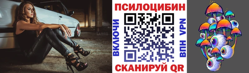 Псилоцибиновые грибы GOLDEN TEACHER  наркотики  Усолье-Сибирское 