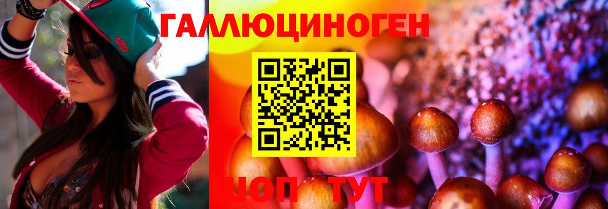 Псилоцибиновые грибы Cubensis Усолье-Сибирское