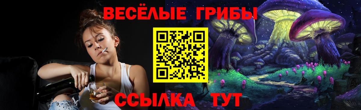 Усолье-Сибирское  Псилоцибиновые грибы Psilocybe  Вход с VPN  Псилоцибиновые грибы мицелий 